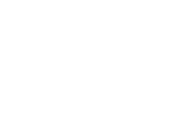 merxwirelogo-white-03-250x200